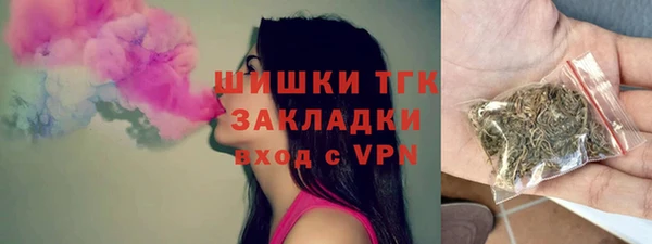 СК Алексин