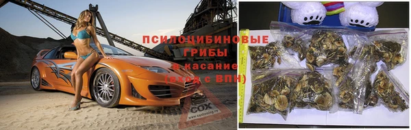 spice Алексеевка